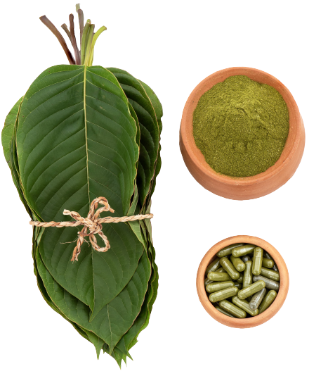 kratom mitragyna speciosa green leaves powder capsule isolated white background top view flat lay removebg preview 1