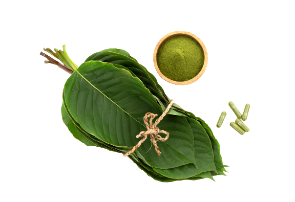 kratom mitragyna speciosa green leaves powder capsule isolated white background top view flat lay  1  removebg preview